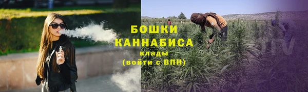 трава Аркадак